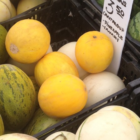 canary honeydew melon canary honeydew melon